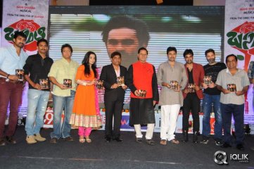 Basanti Movie Audio Launch